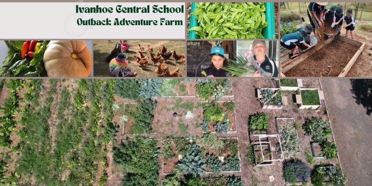 A photo banner showcasing different aspects of our Farm