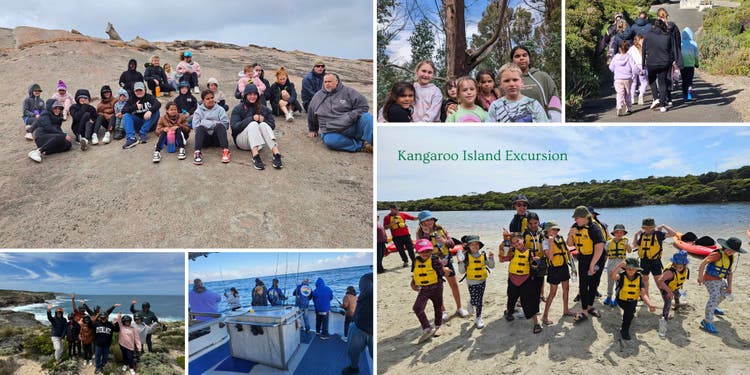 Kangaroo Island Photo Banner shows students fishing, kayaking, on a Koala Walk & at remarkable rocks